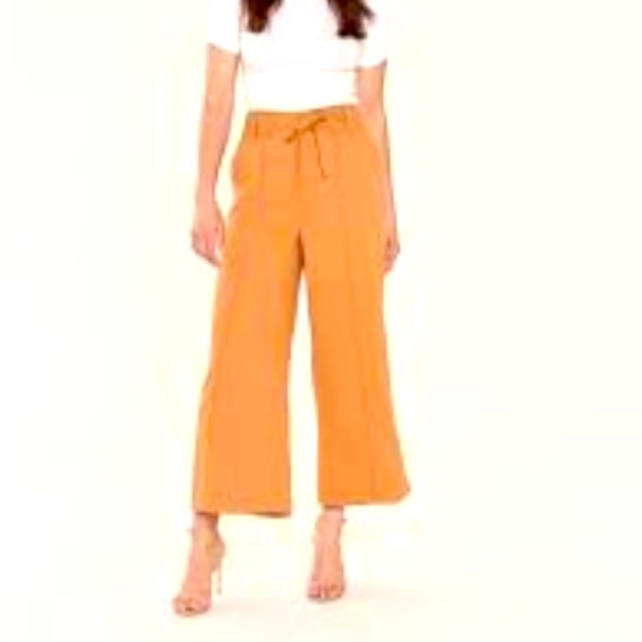 Joie Pants - NWT Joie “Djuna” wide leg ankle cropped belted tie waist pants Size 8